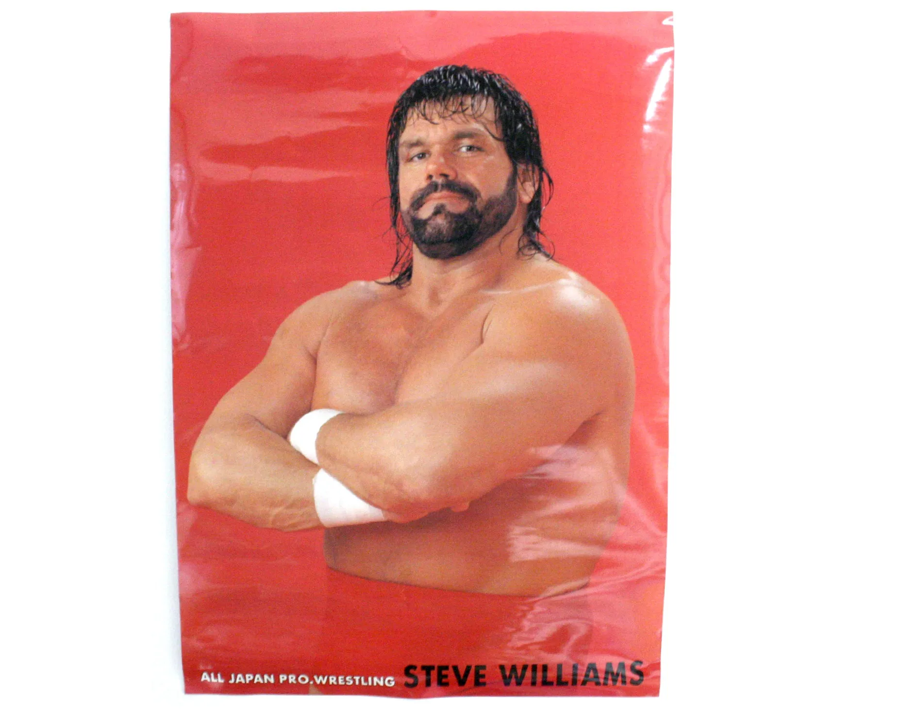 AJPW DR. DEATH STEVE WILLIAMS POSTER