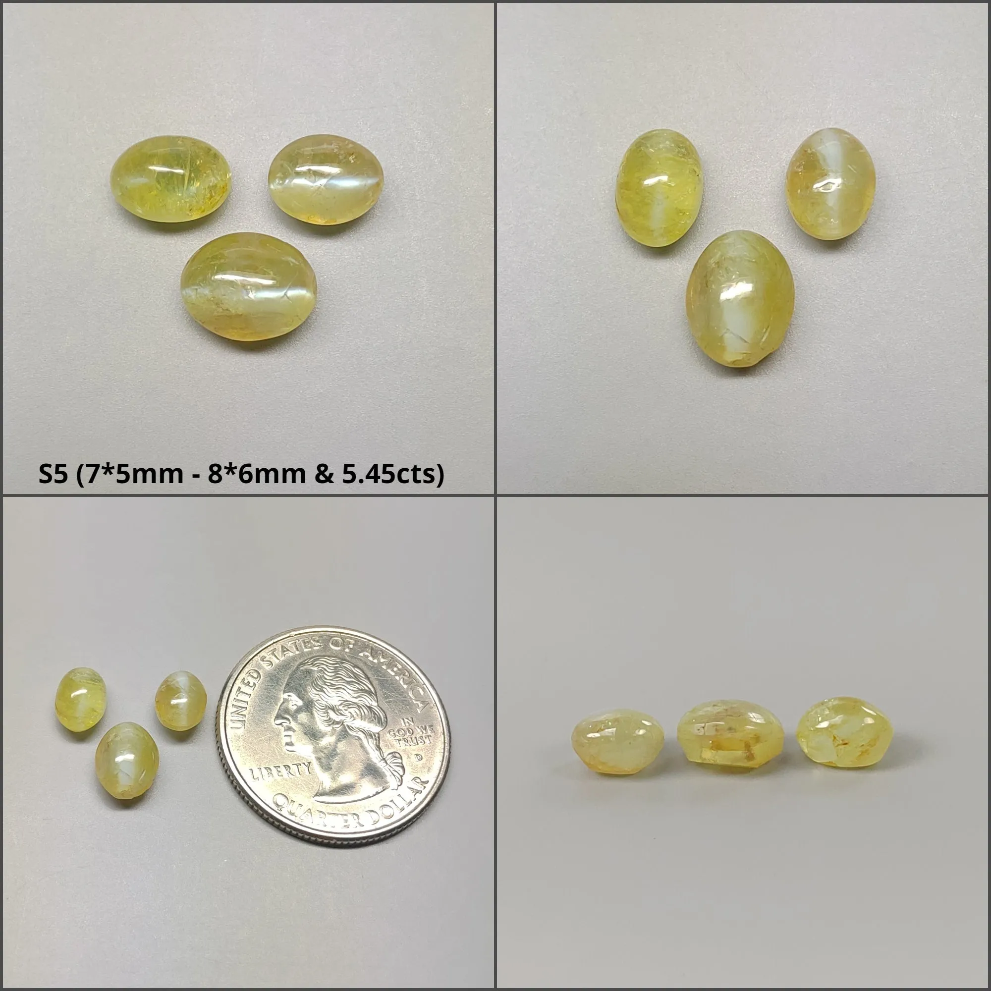 CHRYSOBERYL CAT'S EYE Gemstone Cabochon : Natural Untreated Unheated Cat's Eye Oval & Round Shape Lots