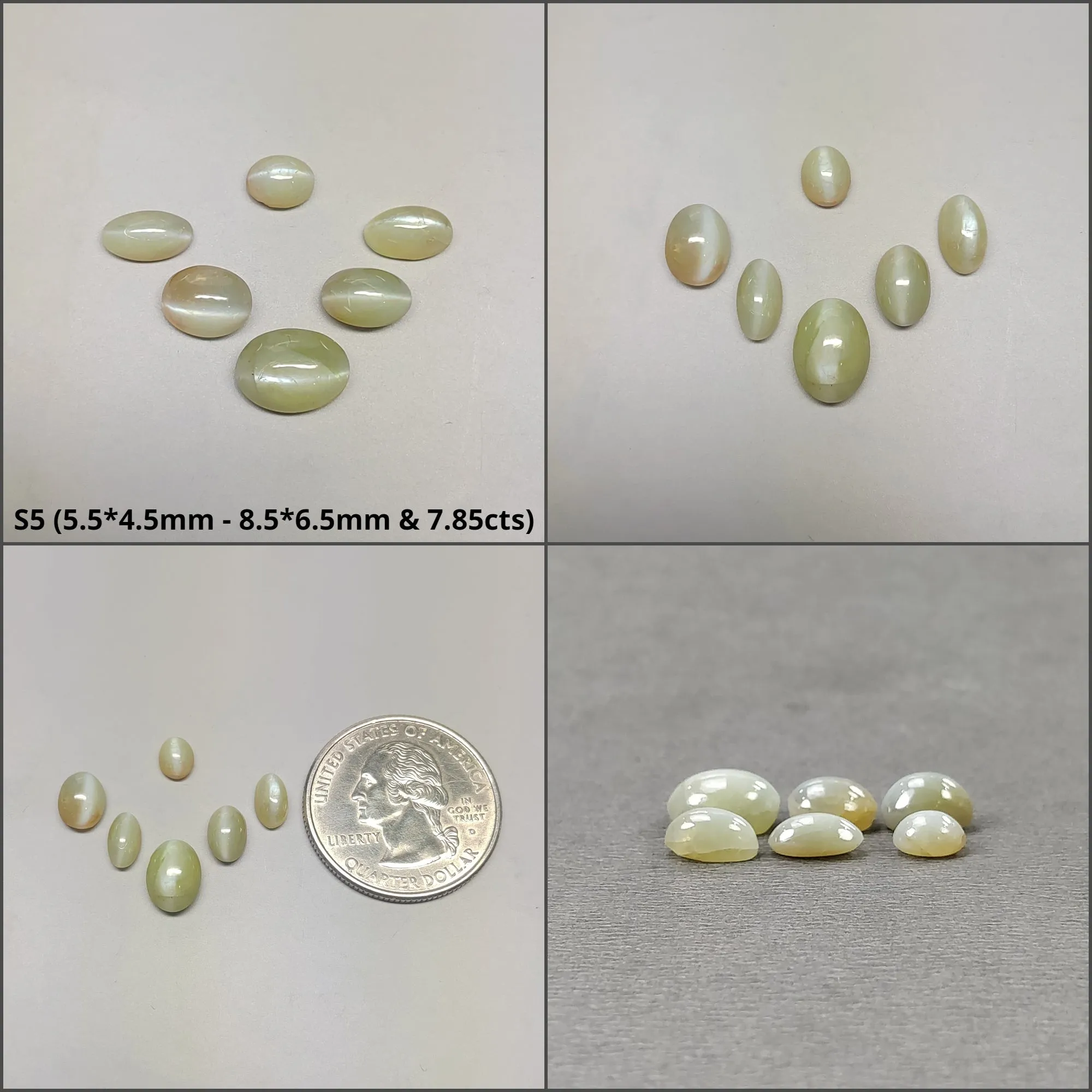 CHRYSOBERYL CAT'S EYE Gemstone Cabochon : Natural Untreated Unheated Cat's Eye Round And Oval Shape 2pcs 3pcs 6pcs 10pcs