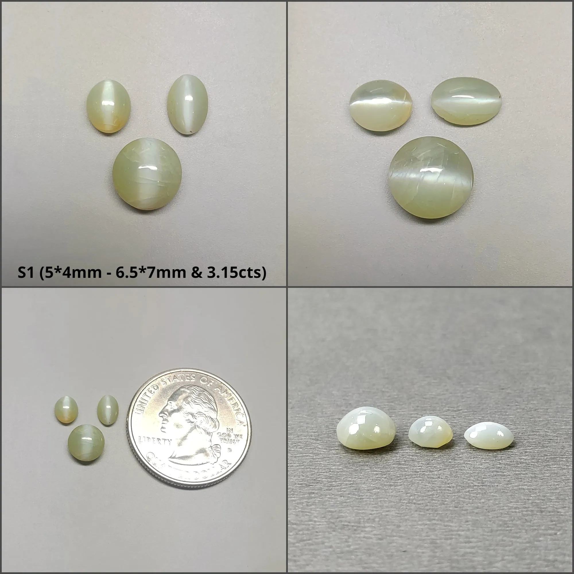 CHRYSOBERYL CAT'S EYE Gemstone Cabochon : Natural Untreated Unheated Cat's Eye Round And Oval Shape 2pcs 3pcs 6pcs 10pcs