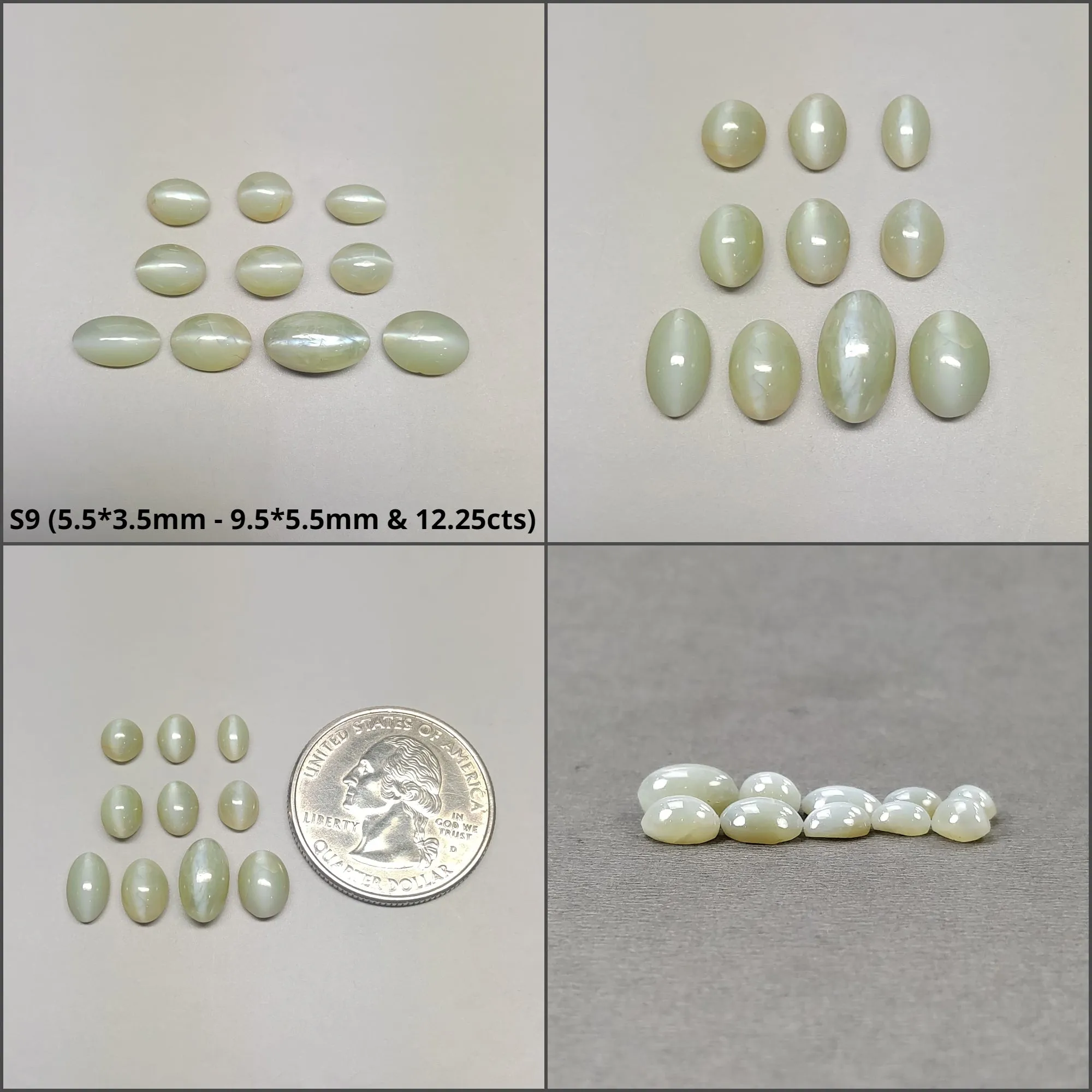 CHRYSOBERYL CAT'S EYE Gemstone Cabochon : Natural Untreated Unheated Cat's Eye Round And Oval Shape 2pcs 3pcs 6pcs 10pcs