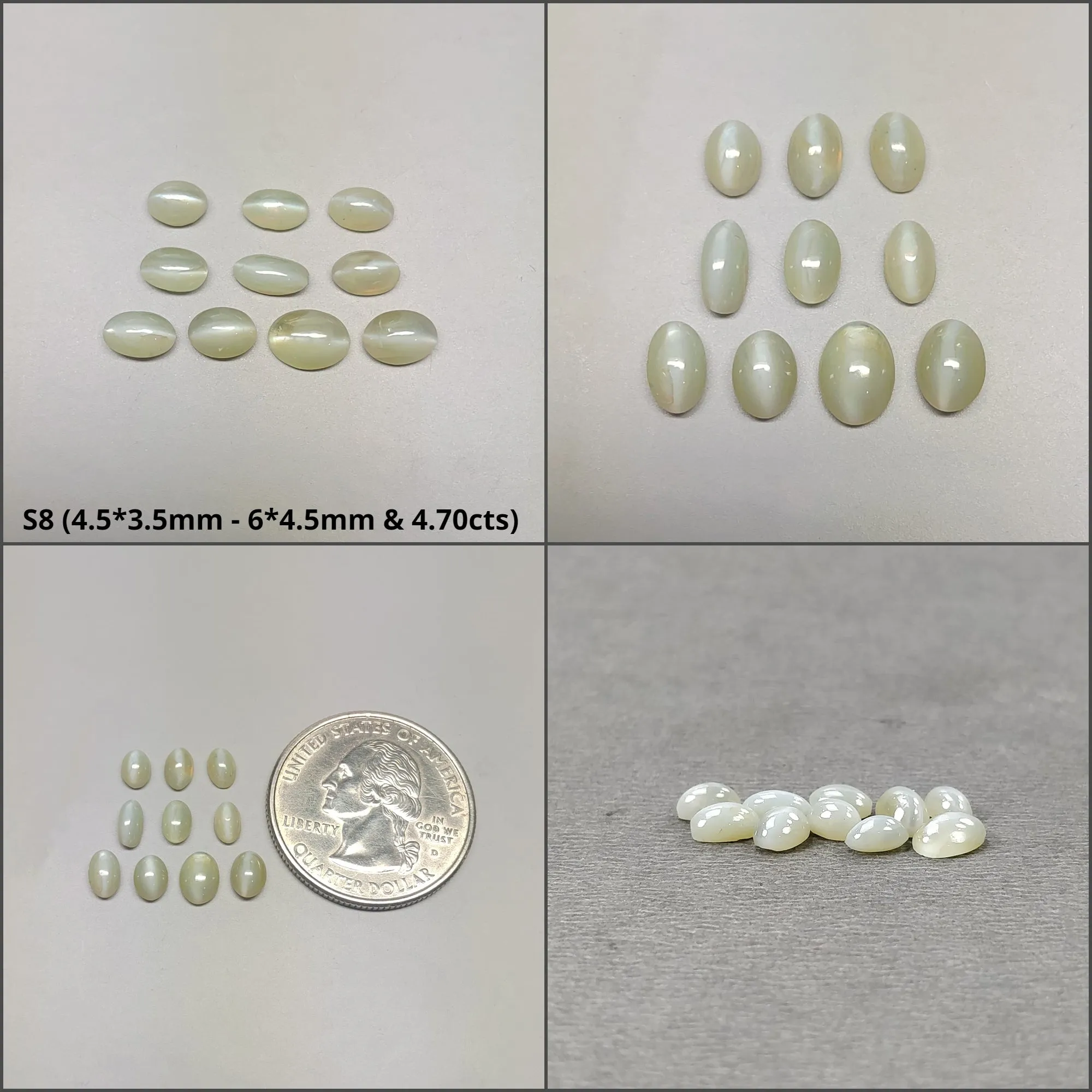 CHRYSOBERYL CAT'S EYE Gemstone Cabochon : Natural Untreated Unheated Cat's Eye Round And Oval Shape 2pcs 3pcs 6pcs 10pcs