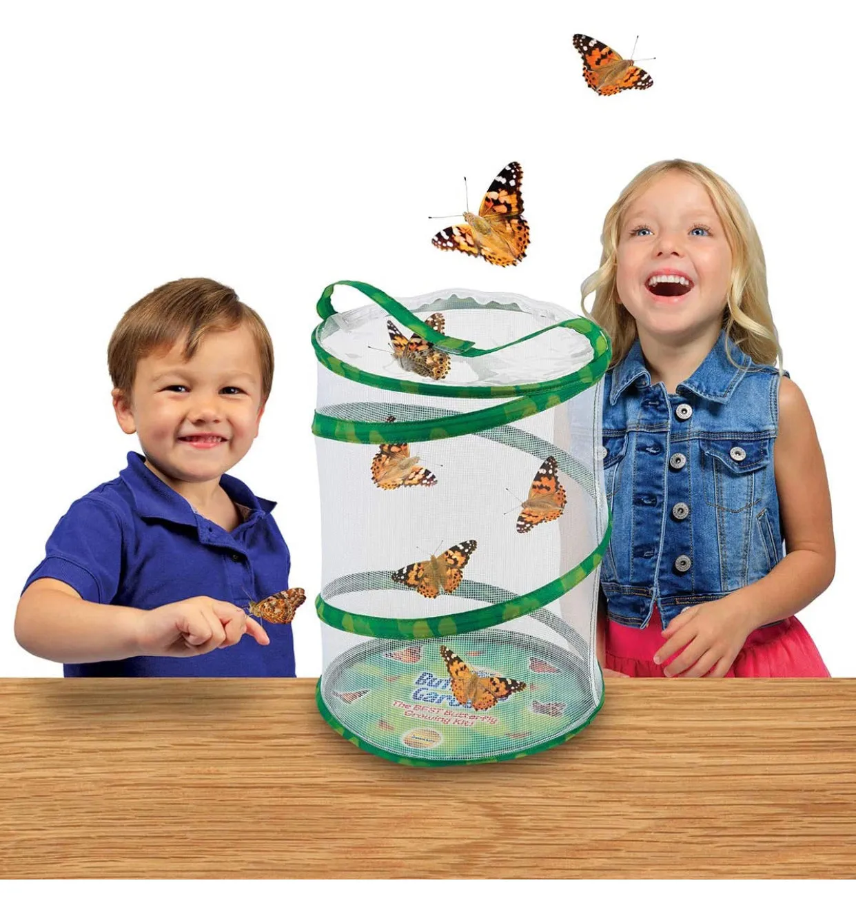 #K154 Watch Them Grow (Butterfly Garden)